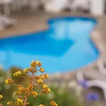 Casa de Férias Da Falesia-with Pool And Views *