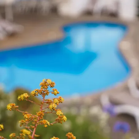 Semesterbostad Da Falesia-with Pool And Views *
